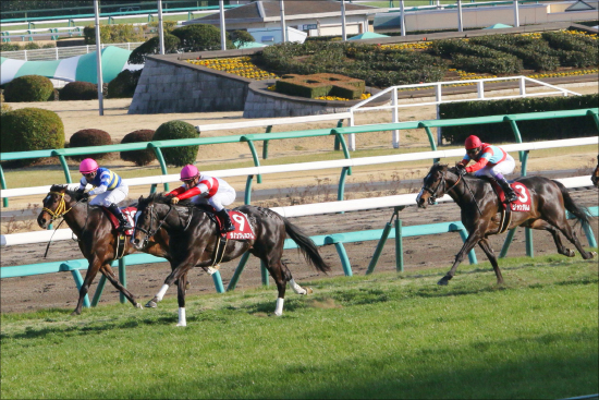 日本ダービー（G1）ダノンプレミアム「無敗」制覇待ったなし!? あまり知られていない「1枠1番」が最強を誇る「2つの理由」の画像2