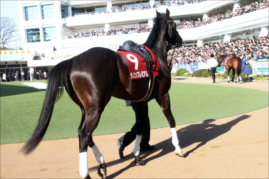 日本ダービー（G1）ダノンプレミアム「空白の1カ月」を関係者が激白！ 皐月賞回避のアクシデントから「順調報道」の真相は？の画像2