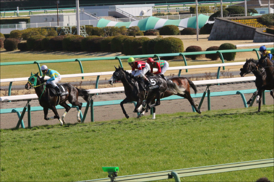 スプリングS（G2）は「4頭」でOK!? 関係者「極秘ネタ」から見えた「超ダークホース」とはの画像2