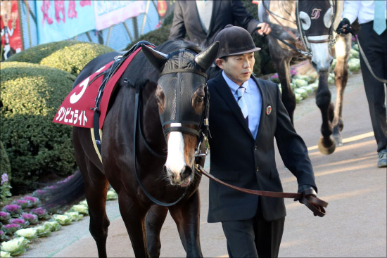 JRA京都記念（G2）マカヒキ不要の「勝負」馬券！ 関係者が太鼓判を押す「激アツ馬」とはの画像3
