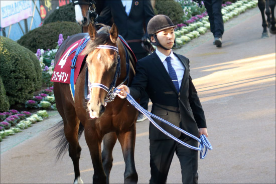 【天皇賞・春（G1）展望】JRA平成最後のG1！ 最強の1勝馬エタリオウがフィエールマンにリベンジを果たす？の画像2