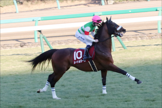 平成ラストJRA重賞【新潟大賞典（G3）展望】堅実メートルダールVS「除外危機」ミッキースワロー有力の画像1