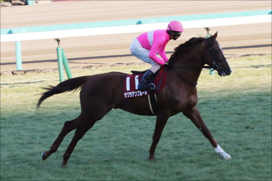 JRA日経賞（G2）武豊メイショウテッコンは○番手!? 「復活」期す大本命馬に「勝負」情報ありの画像4