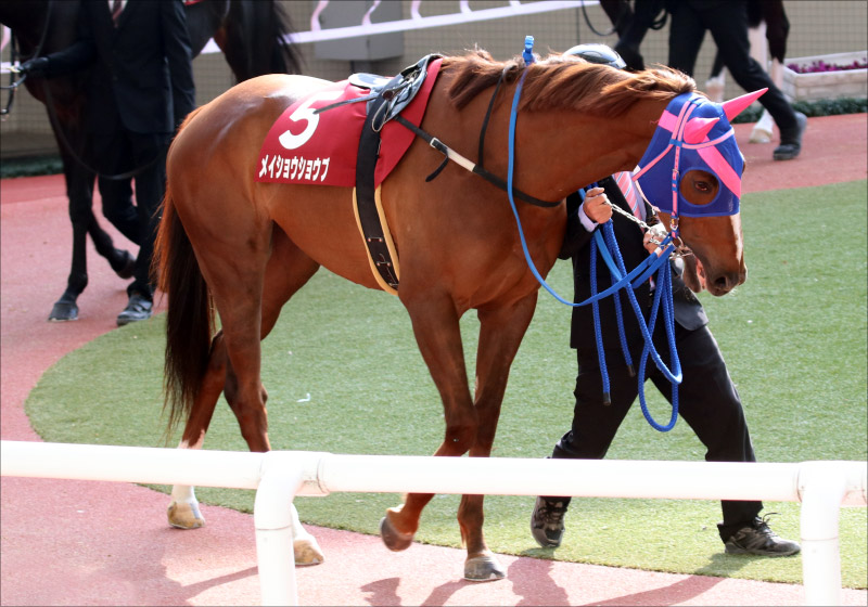 【ニュージーランドT（G2）展望】素質馬アガラス、もがくミッキーブラックの復活は？ マイル王を見据えた重要前哨戦！の画像3