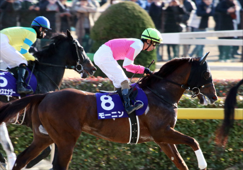 武豊インティ「令和初G1制覇」濃厚！ かしわ記念（G1）は「三連単4点」を関係者情報でバッチリ!?の画像4