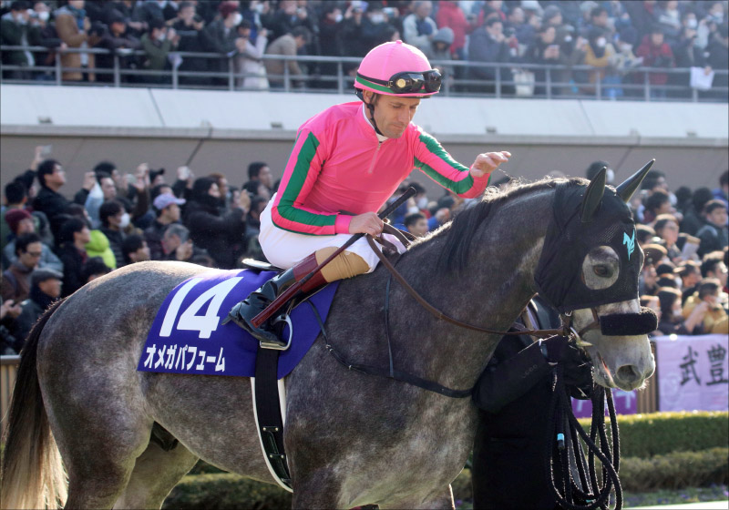 JRA平安S（G3）オメガパフューム「切り」でおいしい三連単！ 関係者情報を元に高額配当ゲット？の画像1