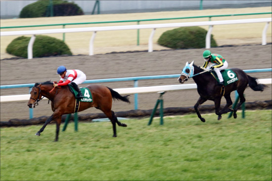 武豊「令和初の日本ダービー（G1）」出走危うし？ ワールドプレミア「春全休」でクラシックに暗雲の画像2