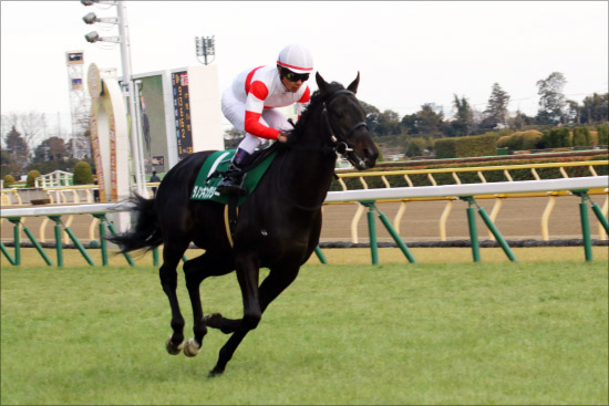 JRA皐月賞1週前追い切り「逆襲」アドマイヤマーズ超本気モード！ サートゥルナーリア「絶対にいい」C.ルメール騎手が大絶賛！の画像3