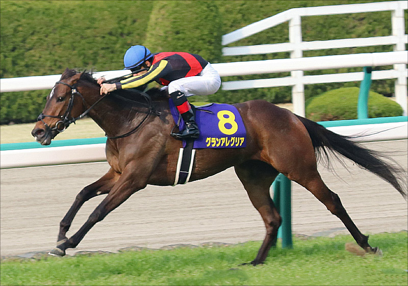 NHKマイルC（G1）武豊ファンタジストから好配当!? 有力「現場ネタ」から確信の「4点」勝負!!の画像2