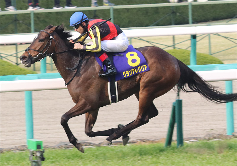 【NHKマイルC（G1）展望】JRA「令和初G1」グランアレグリアがマイル伝説へ。精鋭牡馬たちが迎え撃つ超激戦！の画像2