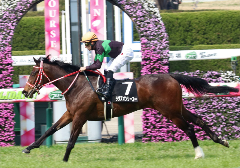 JRAオークス（G1）武豊VSデムーロで決まり!?「極秘ネタ」から「三連単」を狙い打ち!!の画像2