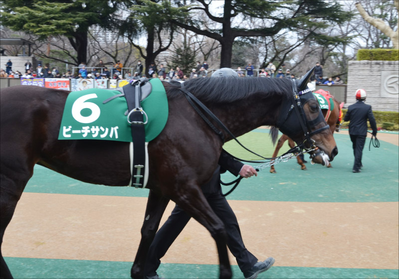 【桜花賞（G1）展望】JRA2歳女王ダノンファンタジー危うし!? 将来性豊かなタレント揃いの牝馬クラシック初戦の画像6