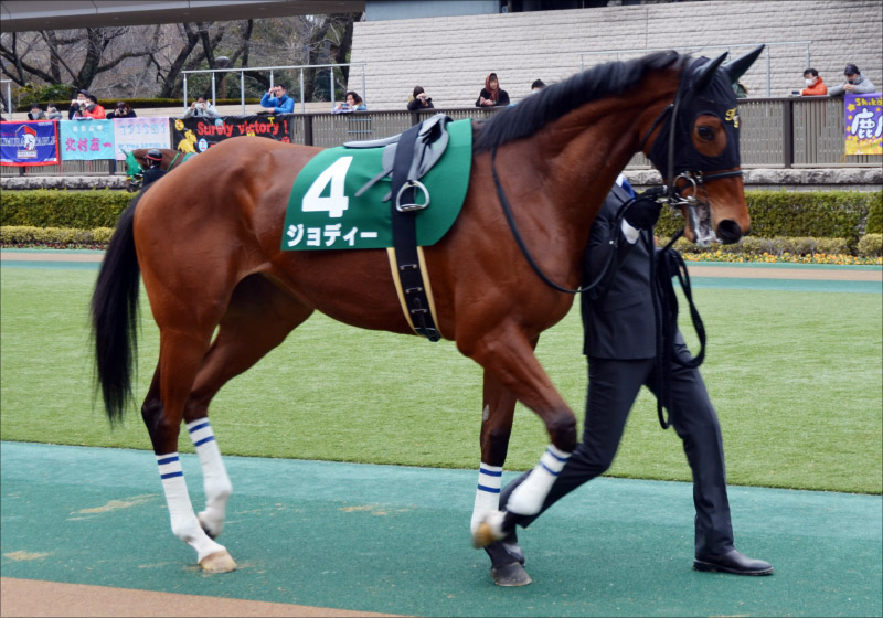 【フローラS（G3）展望】JRA「G1馬の娘」ウィクトーリアに期待大！ オークスに向けた巻き返しの前哨戦の画像2