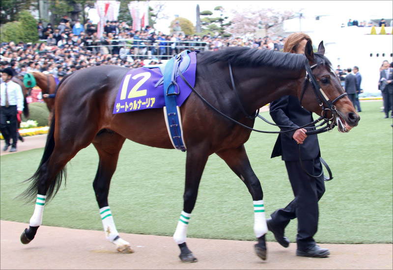 日本ダービー（G1）サートゥルナーリア「代役」レーン騎手に日本競馬の洗礼!? 一抹の不安を抱かせる豪州の若き天才の「東京・芝2400m」成績の画像2