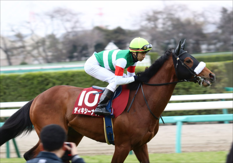 ラジオnikkei賞 G3 展望 Jra 未完の大器 今年も フィエールマンに次ぐ大物出るか Gj