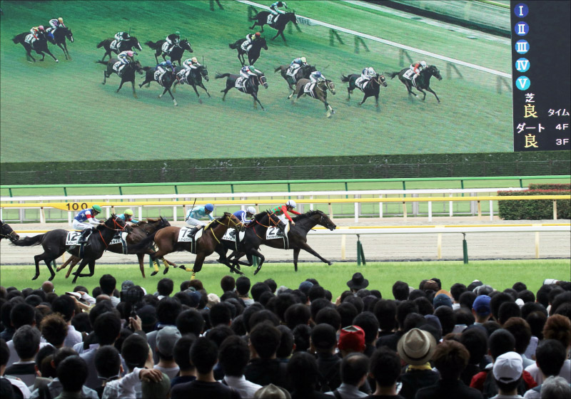 JRA「東京G1レコード三昧」異様な高速馬場が波乱と議論を呼んだの画像1