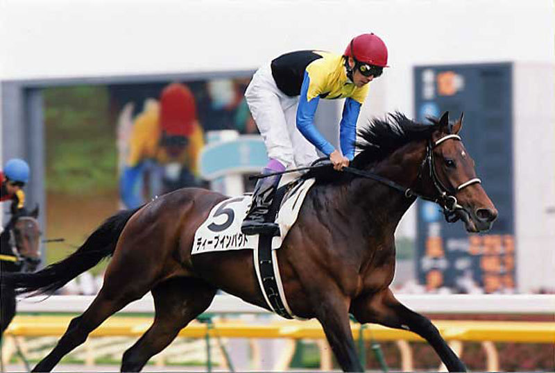 JRA「平成最強」日本ダービー馬は誰だ？ディープインパクト、ナリタブライアン、オルフェーヴル、キングカメハメハ、それともウオッカ？の画像1