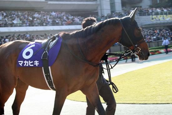 JRA宝塚記念(G1)は確信の「3点」勝負! 関係者ゴリ押し勝負馬で「好配当」狙い!!の画像4