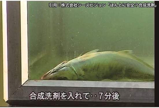 自然の界面活性剤と合成界面活性剤の違い 除菌ウェットティッシュは人体に危険 ビジネスジャーナル