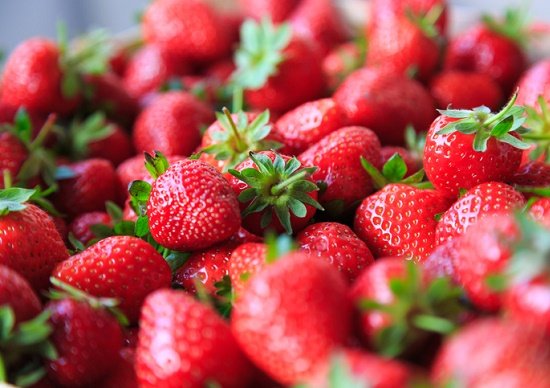 イチゴ、洗わずに食べると人体に危険！銅剤含有の農薬を大量使用、内臓に危害の恐れの画像1