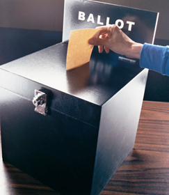 参院選、より“ましな”候補者に投票するための方法とは？　カギは選挙事務所の画像1