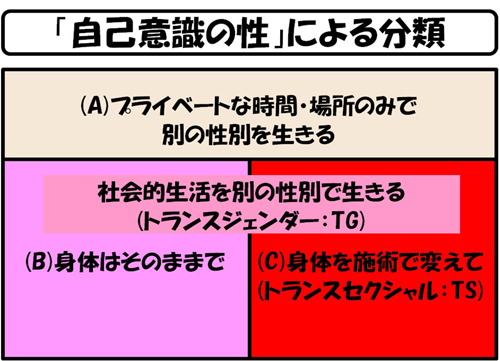 性同一性障害 性を変える 具体的プロセスとリスク ホルモン療法 手術 法律