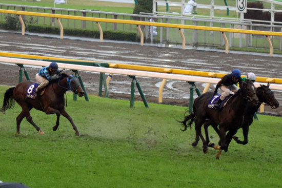 レインボーライン「圧勝3着馬」がジャパンCは危険度強？ 「過去実績」に見る「スタミナ」のあるなしの画像1