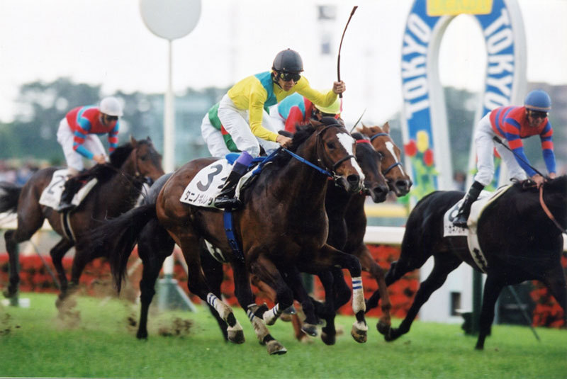 平成最弱のJRA日本ダービー馬はどの馬か？タヤスツヨシ、ワンアンドオンリー、ロジユニヴァース、アグネスフライト？の画像1