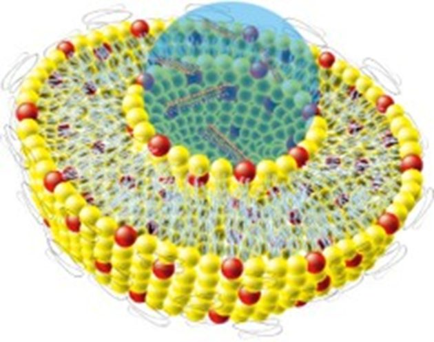 静岡県立大学発の創薬ベンチャー、薬の有効性向上＆副作用軽減の独自技術