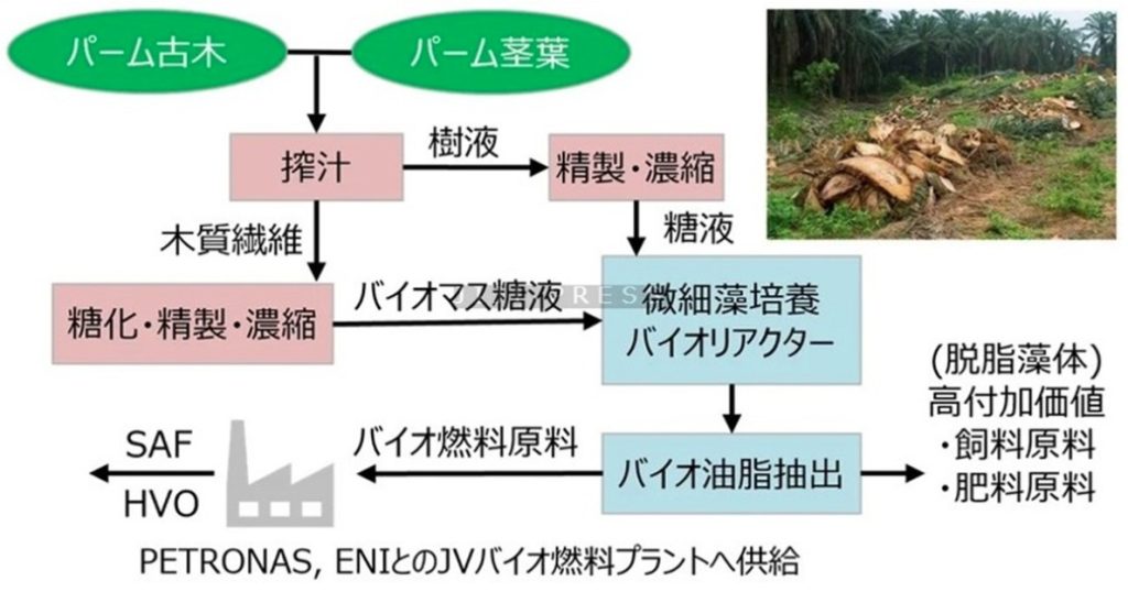 ユーグレナ、バイオマス糖の活用策調査＝ＳＡＦ用藻類培養で―マレーシア