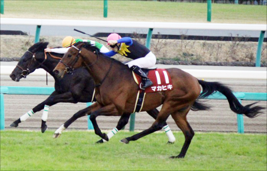 (2ページ目)【京都記念（G2）】マカヒキ徹底考察 「『最強世代』のダービー馬が待望の復帰戦！気になる状態面を『3歳凱旋門賞』に挑んだ名馬と ...