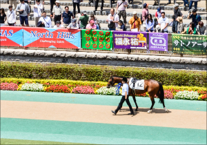 Jra和田竜二騎手 ファンへの 神対応 に大絶賛 競馬界きってのお祭り男は中身もイケメン Gj