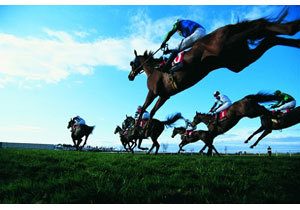 3億円稼いだ現役競走馬がネットオークションへ 中古 の表記に 命の冒涜 の声もその行方は Gj