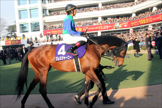 JRAスワーヴリチャードをねじ伏せたアノ馬が地方移籍へ。東京大賞典（G1）激走モジアナフレイバーが成功の秘訣か!?の画像1