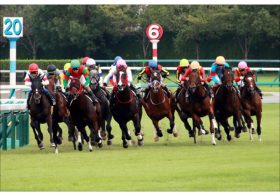 JRAフィリーズレビュー（G2）「特注」穴馬3頭！ 前日“最低人気”の「アノ馬」に、まさかの激走気配!?