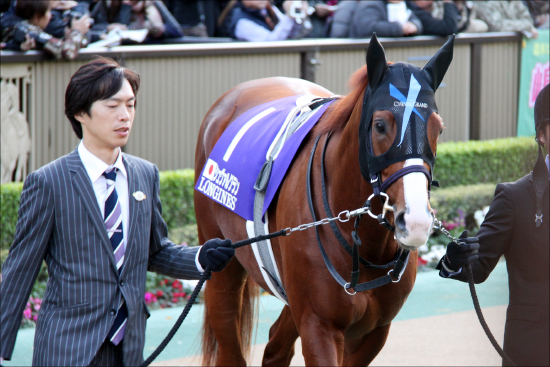 Jra菊花賞 G1 元メジャー 大魔神 佐々木氏へ捧げるリベンジ戦 三浦皇成 大胆騎乗 活かすダンスインザダークの血 Gj