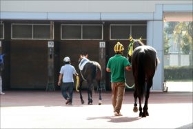 JRAの名門・松田国英厩舎が重賞勝ち「0」に「1月以降・出走ナシ」の衝撃。 助手が「未成年買春」で逮捕されるなど、低迷に歯止め掛からず……