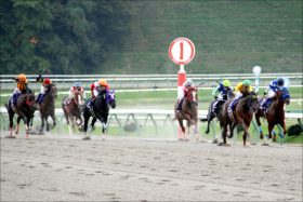 JRA堀宣行調教師「パワハラ裁判」で敗訴。現代社会に取り残された”村社会”で、あの超大物調教師にもパワハラ疑惑が……