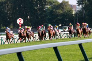 Jra 縁起悪すぎ 珍馬名に騒然 オルフェーヴル良血馬がまさかの お経 に Gj