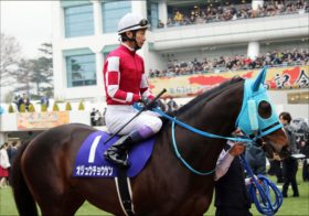 【ステイヤーズS(G2)展望】オジュウチョウサン「M.デムーロ騎乗」で重賞制覇なるか? 4勝目アルバート、連覇リッジマンにも注目!