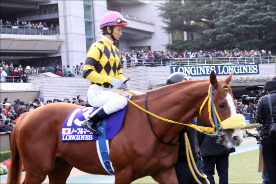 Jra小倉記念 G3 に 超伏兵 を発見 強力 現場ネタ が導く確信の三連複 Gj