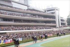 一口馬主の最新ニュース記事 まとめ ビジネスパーソン向けニュースサイトのビジネスジャーナル