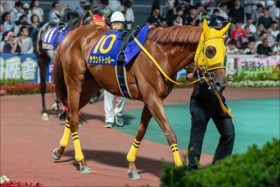 JRA 2年前には「週末ジャック」!? ダイオライト記念（G2）は1～3着独占で馬券ジャック！
