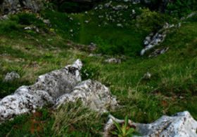 闇サイトビジネスには裏の裏の裏がある！ ジャーナリスト語る、16歳少女段ボール事件