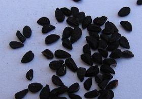 治せないものは「死」だけ？ 最強の万能薬「ニオイクロタネソウ」の種子とは？