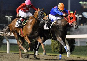 日本競馬を動かす馬主 金子真人氏 超能力としか思えない 所有馬実績 と唯一の 弱点 とは Gj