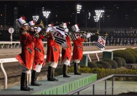 大井競馬の快進撃が止まらない！東京大賞典が1レースあたり売上レコード大幅更新＆当日売り上げも記録更新。好調の要因にはSNS普及の影響も……