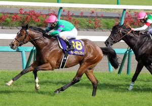 蛯名正義騎手 デビュー30年でダービー制覇の 時は満ちた ディーマジェスティを巡る後輩騎手の 願い とチャンス Gj