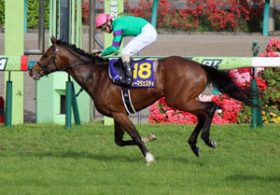 3ページ目 16年5月ニュース Gj