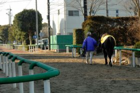 JRAの「外国人騎手の短期免許の新基準」は”穴”だらけ？「薬物騎手」締め出す改革も安全性の確保には疑問